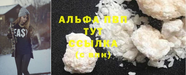 PSILOCYBIN Верхний Тагил